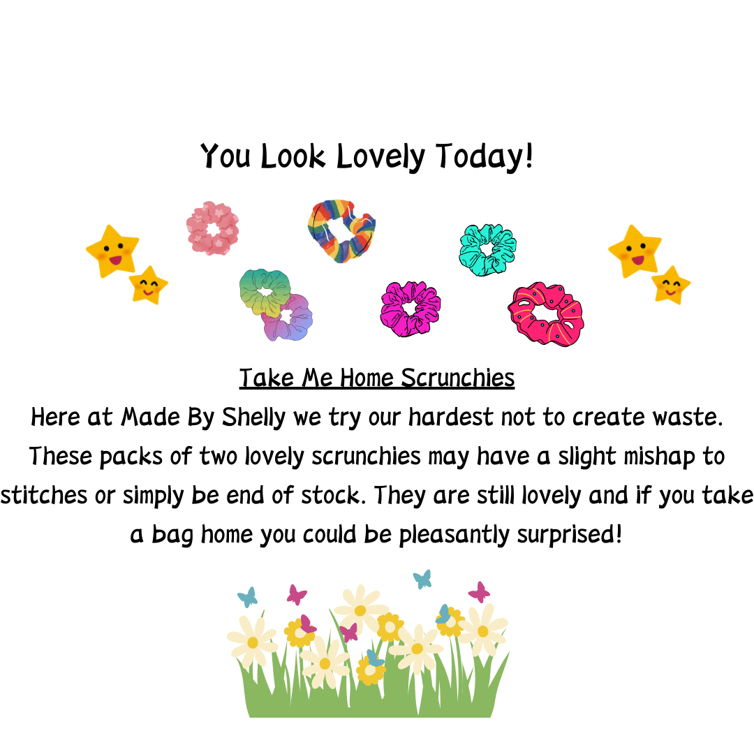 Take Me Home Scrunchies